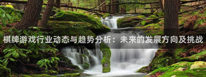 蓝冠娱乐注册：棋牌游戏行业动态与趋势分析：未来的发展方向及挑