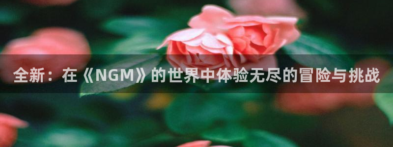 蓝冠娱乐官方注册登录：全新：在《NGM》的世界中体验无尽的冒