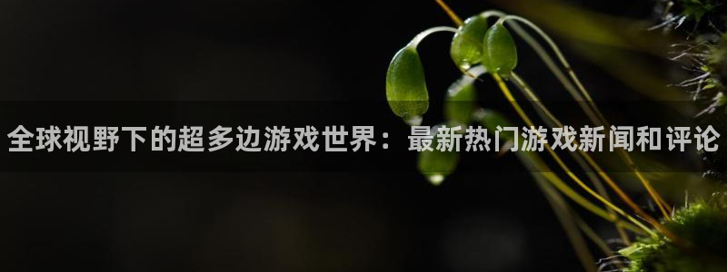 蓝冠娱乐咨询