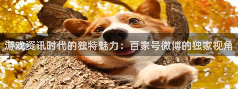 蓝冠娱乐官方注册登录：游戏资讯时代的独特魅力：百家号微博的独