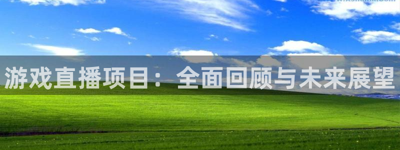 蓝冠娱乐的意思：游戏直播项目：全面回顾与未来展望