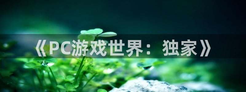 蓝冠娱乐平台官网注册：《PC游戏世界：独家》