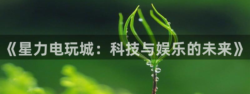 蓝冠娱乐网页登录入口官网：《星力电玩城：科技与娱乐的未来》