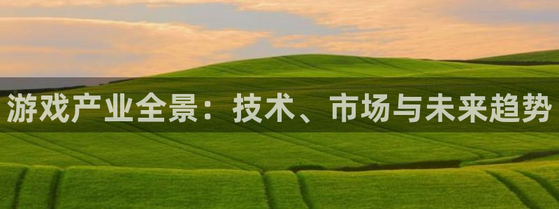 蓝冠娱乐平台官网入口：游戏产业全景：技术、市场与未来趋势